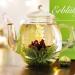 Creano Heart-Shaped Gift Set: 6 Types of Green Tea & 500ml Glass Teapot - Perfect Gift for Women & Tea Lovers - Buy Online on SooperMarket.com