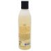 BoaVida Deodorizing Citrus Plus Elder Shampoo and Body Wash 8 oz - Persimmon Soap for Nonenal Removal | New Leak-Proof Caps - Buy Online on SooperMarket.com