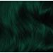 Lunar Tides Juniper Green Hair Dye - 4 fl oz (Pack of 1) | Semi-Permanent Color - Buy Online on SooperMarket.com