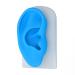 Silicone Ear Model Flexible Professional Ear Model for Hearing Amplifier Display for Student