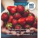 No Sugar Strawberry Fruit Spread | 80% Fruit Content | Erythritol & Stevia | EU Made | 3 Pack (3x260g) - Buy Online on SooperMarket.com