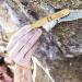 Premium Rock Climbing Brush with Thick Boar's Hair Bristles - Durable Bouldering Brush with Strong Handle | Ideal Rock Climbing Gift - Buy Online on SooperMarket.com