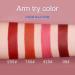 Buy Long Lasting Matte Lipstick Set - 4 Shades of Red Waterproof & Moisturizing Velvet Lipsticks for Women - Buy Online on SooperMarket.com