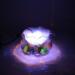 Mist Machine Colour Changing 12 LED Mist Maker Fogger Pond Fog Atomizer Water Fountain Pond Fog - Buy Online on SooperMarket.com