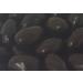Trader Joe's Dark Chocolate Covered Almonds - 3 Pack, 16 oz Tub - 48 oz Total - Buy Online on SooperMarket.com