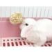 Camiter 15Pcs Rabbit Toys - Natural Timothy Grass Chew Toys for Small Animals | Dental Care Wooden Chain | International Shipping Available - Buy Online on SooperMarket.com