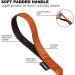 Loutep 5m Dog Training Leash - Durable Nylon Long Leash with Padded Handle & Heavy Duty Swivel Hook - Orange - Buy Online on SooperMarket.com