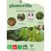 Plantsville Health Cinnamon Coco Sugar 150g - Natural Sugar Substitute for Baking & Drinks - Buy Online on SooperMarket.com
