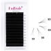 Fadlash Easy Fan DD Curl 0.05 Russian Lashes 15-20mm Mixed Length - Buy Online on SooperMarket.com