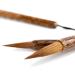 Shanlian Hubi Fine Chinese Calligraphy Brush Set - Pure Wolf Hair - Ideal for Watercolor, Kanji, Drawing - Beginner Sumi Brush Set - Buy Online on SooperMarket.com
