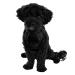 Dog harness for small and medium -sized dogs reflective made of nylon - anti -train dishes ideal for training units with puppies - breathable mesh upholstery (black gr. M) m black