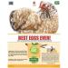 Pampered Chicken Mama Backyard Chicken Treats for Great Eggs (1 pound 0.5 kilo) - All-Natural Backyard Chicken Feed Supplies - Hen Treats for The Best Eggs Ever - High Calcium Supplement for Chickens - Buy Online on SooperMarket.com