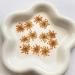 100pcs Ammi Majus Natural Pressed Dried Flowers for Resin, Soap & Candle Making (Orange) - Buy Online on SooperMarket.com