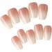 Ruarby Coffin Nail Tips Press On Nail Tips Clear False Nails Tips Full Cover Nail Tips with Positioning Line Nail Extension Tip - Buy Online on SooperMarket.com