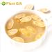 Buy Astragalus Root Tea 120g | Pure Herbal Caffeine-Free No GMOs - Premium Chinese Tea for Wellness - Buy Online on SooperMarket.com