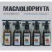 Magnoliophyta | Rose Hip Oil and Vitamin C | 50 ml | Face and Body | All Skin Types | Antioxidant and Regenerating Oil | Nourishes and Protects Skin | 100% Natural from Chile - Buy Online on SooperMarket.com