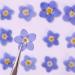 YUNZHI Forget Me Not Flowers - Dried Pressed Flowers for Resin, Candle, Soap Making - 40pcs/Pack - Buy Online on SooperMarket.com