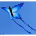 HENGDA Butterfly Kite for Kids & Adults - Outdoor Single Line Kite with Flying Tools - Buy Online on SooperMarket.com