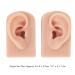 Soft Silicone Ear Model 1 Pair | Stretchable for Teaching & Medical Training | Medium Skin Tone - Buy Online on SooperMarket.com