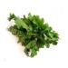 Fresh Saag Leaves Bunch | Single Bunch | Mustard Leaves | Sarso Ka Saag Leaf | Green leafy | Spinach | Broad leaves | Approx 200G