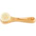 SHASH Exfoliating Face Brush - Made in Germany | Deep Intense Boar Bristle | Gently Exfoliates Skin for Glowing Complexion | Eco-Sourced Beech Wood - Buy Online on SooperMarket.com