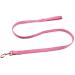 Lionet Paws Dog Leash - Silk Leash for Small Medium Large Dogs Matching Collars for Girls and Boys S Leash (Pack of 1) Peach