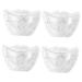 GANAZONO 4pcs Clear Fruit Mini Watermelon Plastic Fruit Square Mold Small Fruit Mold Ginseng Tool Pumpkin