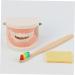 Buy Beavorty Learning Toothbrush Toys for Early Teething | Pedagogical Tooth Cleaning Model for Preschool - Buy Online on SooperMarket.com