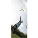 HABA 1920 Terra Kids Boomerang - Fun Outdoor Toy for Ages 5+ | International Shipping Available - Buy Online on SooperMarket.com
