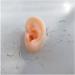 Ear Model - Soft Silicon Silicone Simulation Model of Acupuncture Ear Ear Picking Practice The Studs Earring Display Props - Buy Online on SooperMarket.com