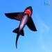 HENGDA Shark Kite - Easy to Assemble and Fly | for Kids and Adults | Beach, Park, Yard | 49x53in Black - Buy Online on SooperMarket.com