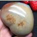 Natural Stone Sea Stone Ancient Rock Specimen Heart 220g Beautiful Crystal