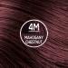 Naturtint Permanent Hair Color 4M Mahogany Chestnut - Pack of 6 | Ammonia-Free, Vegan, Cruelty-Free | Up to 100% Gray Coverage, Long-Lasting Results - Buy Online on SooperMarket.com