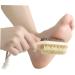 FRCOLOR Scratcher Pedicure Brudh 2pcs Presser Foot Wooden Double Sided Foot Pumice Stone Wooden Pumice Stone 1 count (Pack of 1) - Buy Online on SooperMarket.com