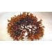 Indigo Herbs Irish Moss 100g - Raw, Pure, Wild Harvested Sea Moss | Non-GMO - Buy Online on SooperMarket.com