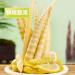 Fresh Bamboo Shoots with Mountain Peppers Bamboo Shoots with Pickled Peppers 200g/bag Instant Snacks Snacks and Snack Food Bamboo Shoot Tip Tender Bamboo Shoots Crispy Bamboo Shoots (3 pack) - Buy Online on SooperMarket.com