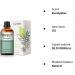 PHATOIL Eucalyptus Essential Oil 30ML - Premium Grade Pure Oil for Diffusers, Aromatherapy, and Candle Making - Buy Online on SooperMarket.com