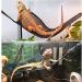 QUUPY 2 Reptile Hammock Set Triangle Breathable Net Breathable Mesh Lizard hammock for Large and Small Bearded Dragons Anoles Geckos Lizards or Snakes 33x33x48cm Black - Buy Online on SooperMarket.com