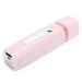 USB Nano Mist Sprayer Humidifier Portable Hand Held Moisturizing Facial Sprayer 28ml (Roseate)
