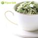 Buy PlantGift Dried Lemongrass Tea Figs - Premium Quality International Shipping - Buy Online on SooperMarket.com