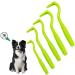 Tranquilique 5 PCS Tick Remover Tick Remover Tools for Dogs Cats Humans Flea Treatment Cat Entire Head & Body Pain-Free Tick Remover for Professional & Home 1.93+2.44+2.5inch 5/Pcs green - Buy Online on SooperMarket.com