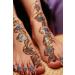 Buy Golecha Kaveri Chhela's 100% Natural Henna Cones | Red-Brown No PPD - 6pcs for International Shipping - Buy Online on SooperMarket.com