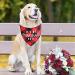 Dog Birthday Bandana Gotcha Day Pet Scarf Dog Adoption Bandana for Boys and Girls Dogs Cats Scarf Bibs Accessories for Pet Birthday Gift (Red) - Buy Online on SooperMarket.com