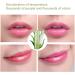 Long Lasting Lip Gloss Aloe Vera Moisturizing Color Changing Lip Balm Gloss Lipstick Beauty Tool - Buy Online on SooperMarket.com