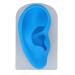 Ear Model ANGGREK Display Ear Model Soft Ear Modeling Tools Teaching Ear Model Elastic Ear Shaping Aids for Showing Learning and Assisting