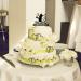 ximoogoooz Funny Fishing Wedding Cake Topper - Best Catch Ever - Groom Hugging Bride Fishing Couple Cake Topper Mr&Mrs Wedding Cake Topper (Fishing Couple) - Buy Online on SooperMarket.com