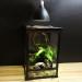 Hisunfarm Reptile Pet Heat Lamp Holder with Clip | 300 Watt UVA/UVB Bulb Guard for Lizard, Turtle, Snake, Spider & Chick - Buy Online on SooperMarket.com