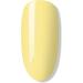 Bluesky Gel Nail Polish Primrose Yellow 80566 Light Primrose Yellow Long Lasting Chip Resistant 10 ml (Requires Drying Under UV LED Lamp) Primrose Yellow 10 ml (Pack of 1) - Buy Online on SooperMarket.com