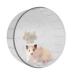 iFCOW Hamster Running Wheel 17CM Round Silent Spinner Exercise Wheel Jogging Wheel Cage Attachment Hamster Toy for Small Animal Gerbils Mice