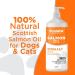 Poochiful 1 Litre Salmon Oil for Dogs. Fish Oil for Dogs Cats Horses Ferret & Pets. Purest Omega 3 6 9 Salmon Oil Cats. Food Supplements for Itchy Skin & Coat. Dog Vitamins and Supplements 1000 ml - Buy Online on SooperMarket.com